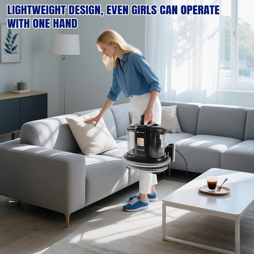 Home design spot cleaner - spot,